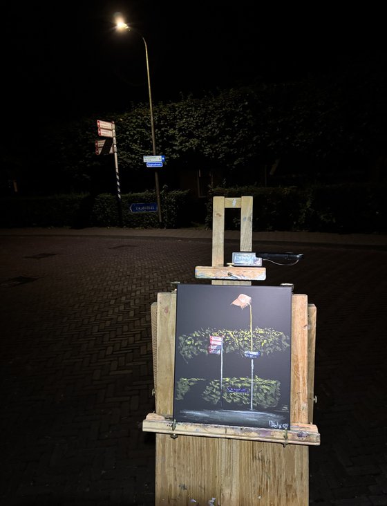 Street Signs in the Dark