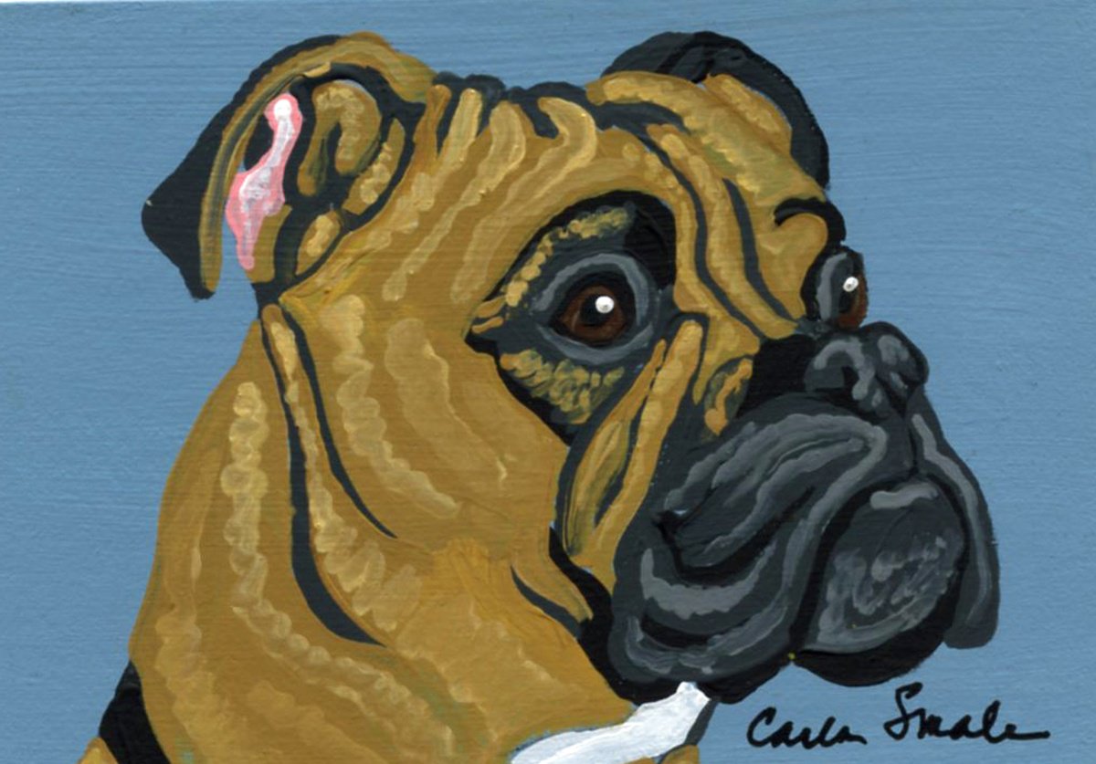 Boxer Dog by Carla Smale