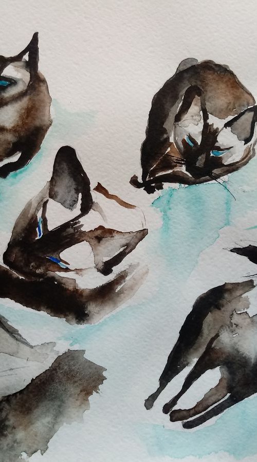 Siamese Cat Sketches by Jelena Nova