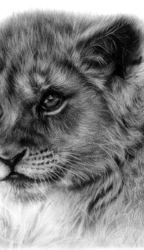 Lion Cub by Danguole Serstinskaja