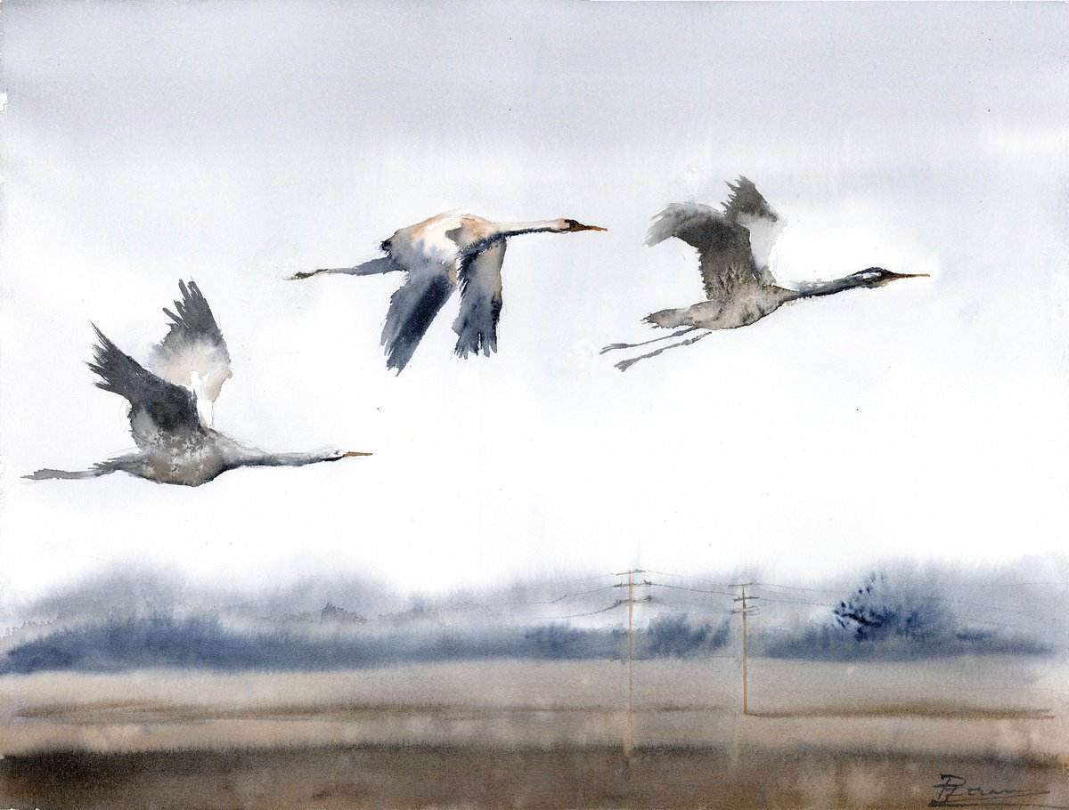 Impressionistic Watercolour , Flight Of The Cranes By Olga Tchefranov (Shefranov), 16 X 12, Artwork For Sale On Artfinder