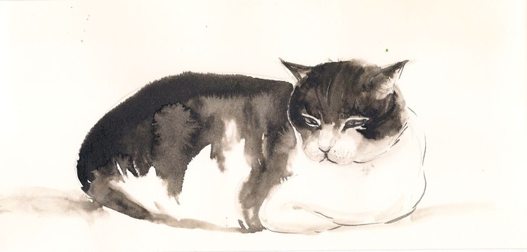 Cat Snooze Sumie Ink Minimalist Cat 12 11 5 Artfinder