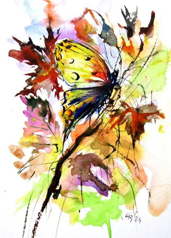 Little butterfly collection