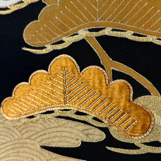 Pines through Seasons