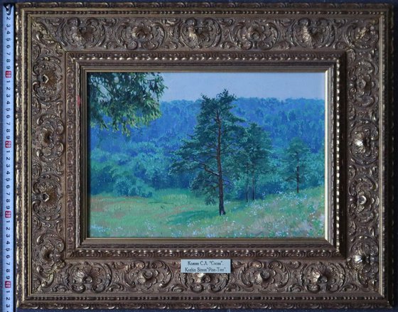 Pine grove