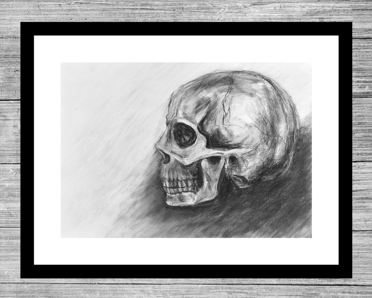 Skull Sketch Profile by Veronica Lamb