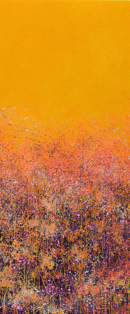 Warm Autumn Colours by Marc Todd