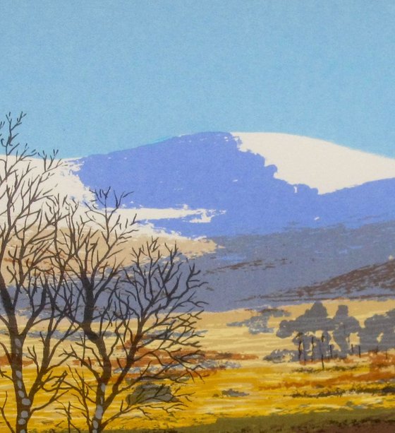 Winter Sunlight, Glen of Imaal