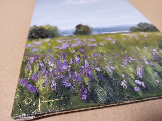 Impression. Flowering meadow