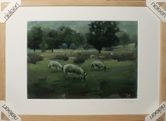 Flock At Rest