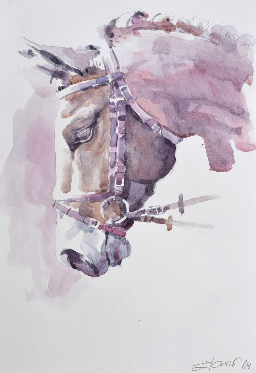 Animal Watercolour By Goran Zigolic Watercolors, 14 X 20, Horse Head Ii, Original Artwork