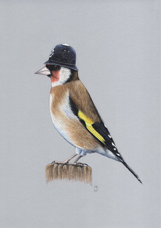 Original pastel drawing bird "European goldfinch"