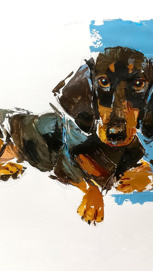 Dachshund by Anna Cher