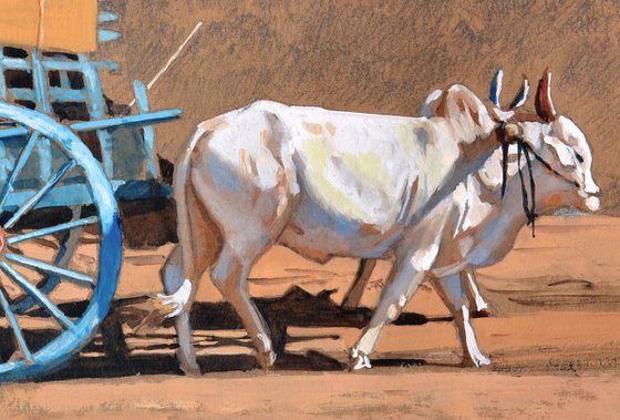 Rural Journey