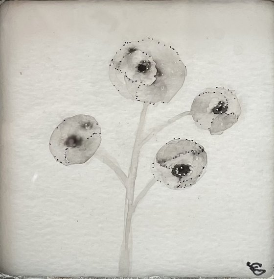 THE MOON’S POPPIES