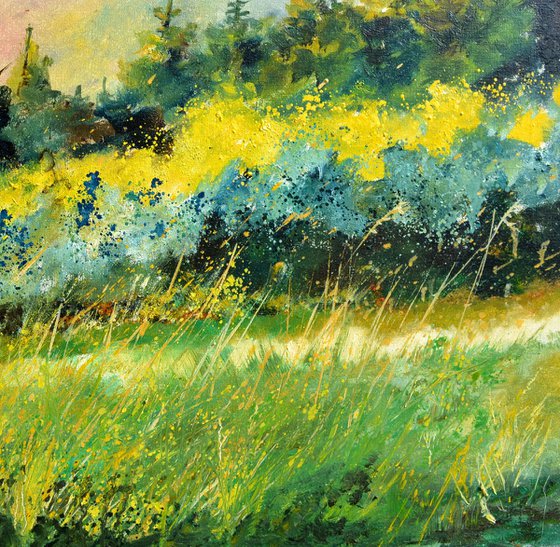 Meadow in my countryside