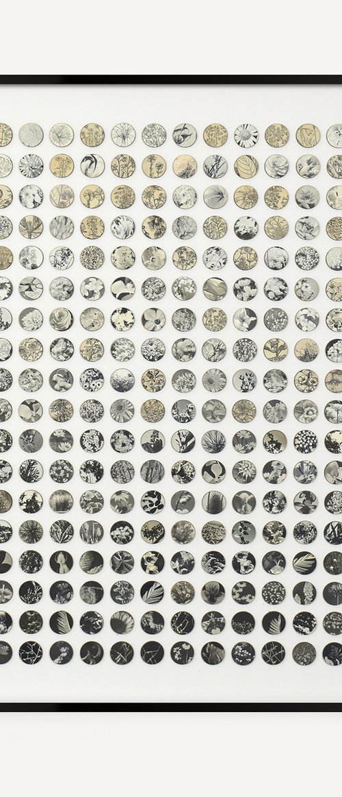 Monochrome Botanical Dots Mixed Media collage by Amelia Coward