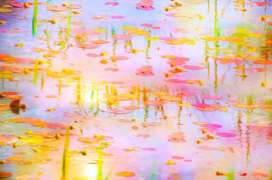 Abstract Waterlilies