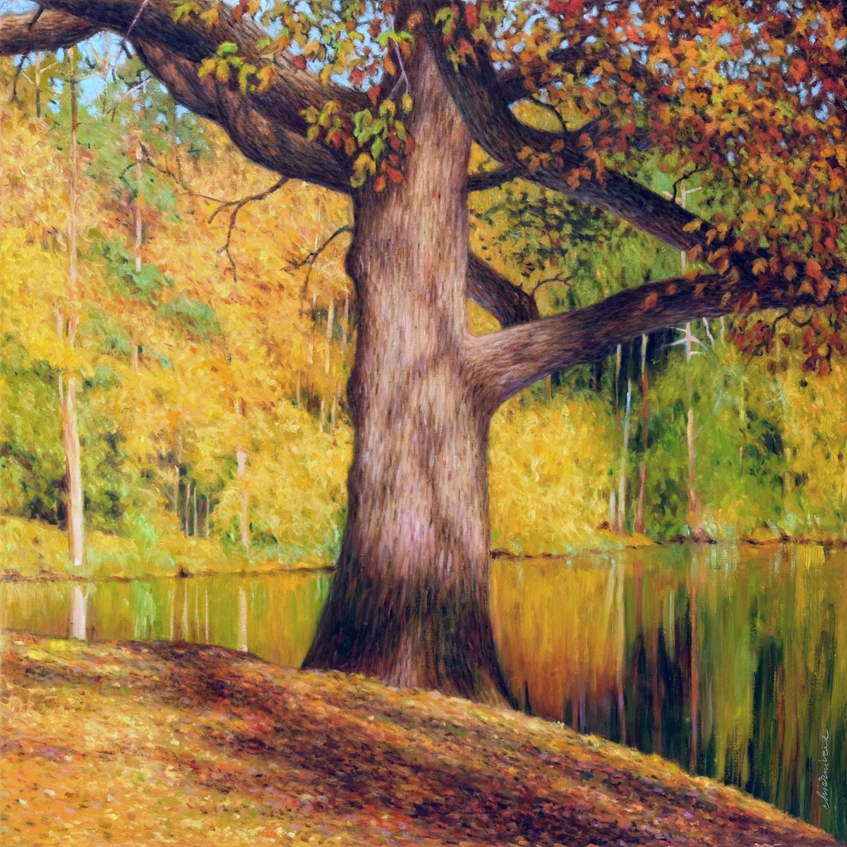 Impressionistic Landscape Oil Painting By Richard Mierniczak, 35 X 35", Forest At Baerensee 3.-Old Oak, Original Artwork