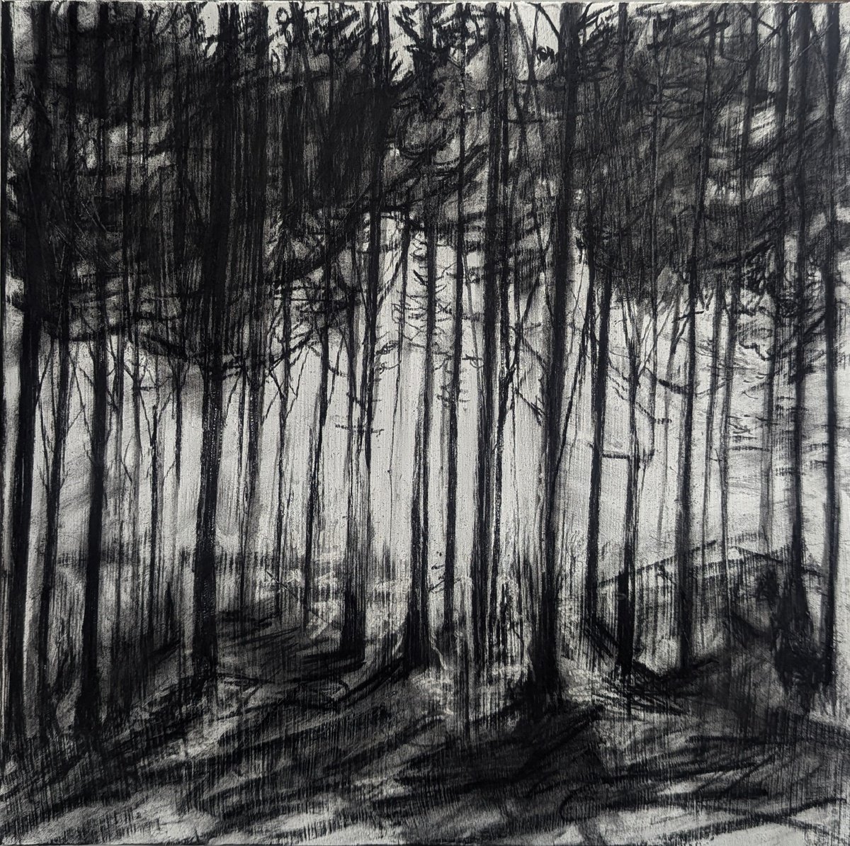 Photorealistic Landscape Charcoal Drawing By Sophie Adair, 12 X 12", The Lookout, Original Artwork