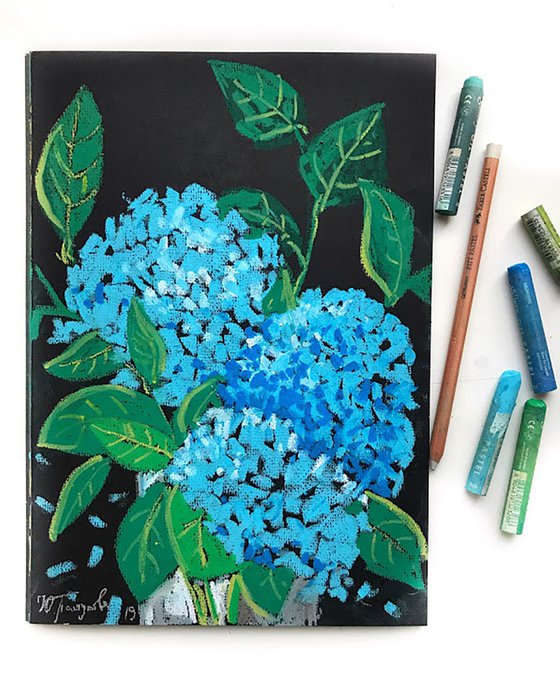 Hydrangea