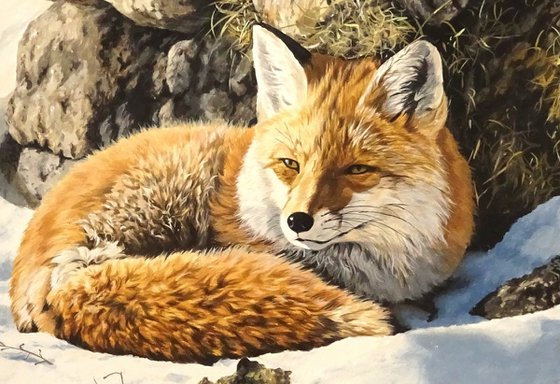 Fox de Batère