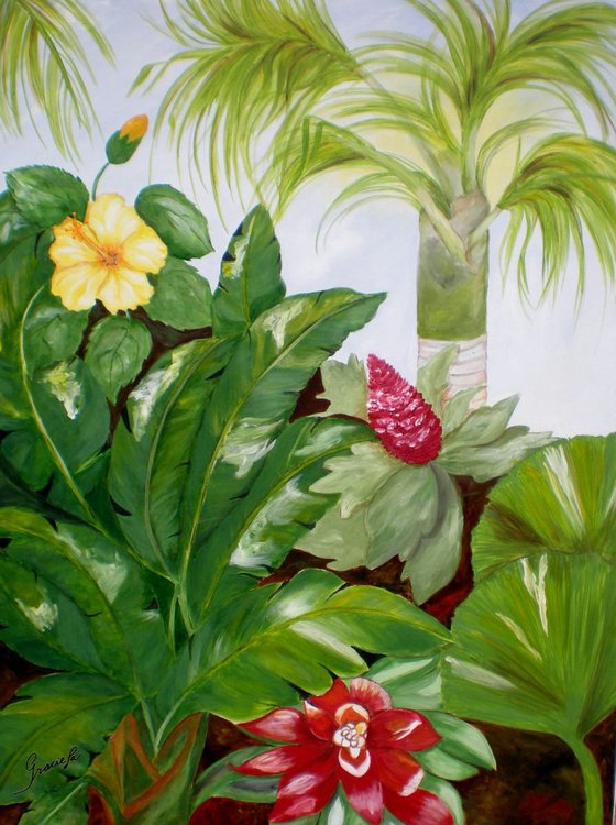 Tropical-SOLD