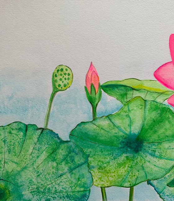 Lotus Bloom I ! A3 size Painting on paper