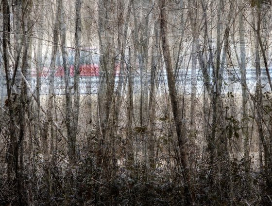 Près d'une route.....