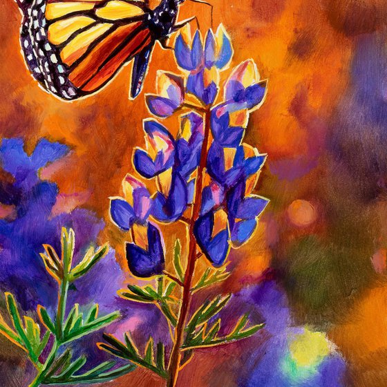 Monarch butterfly & bluebonnet