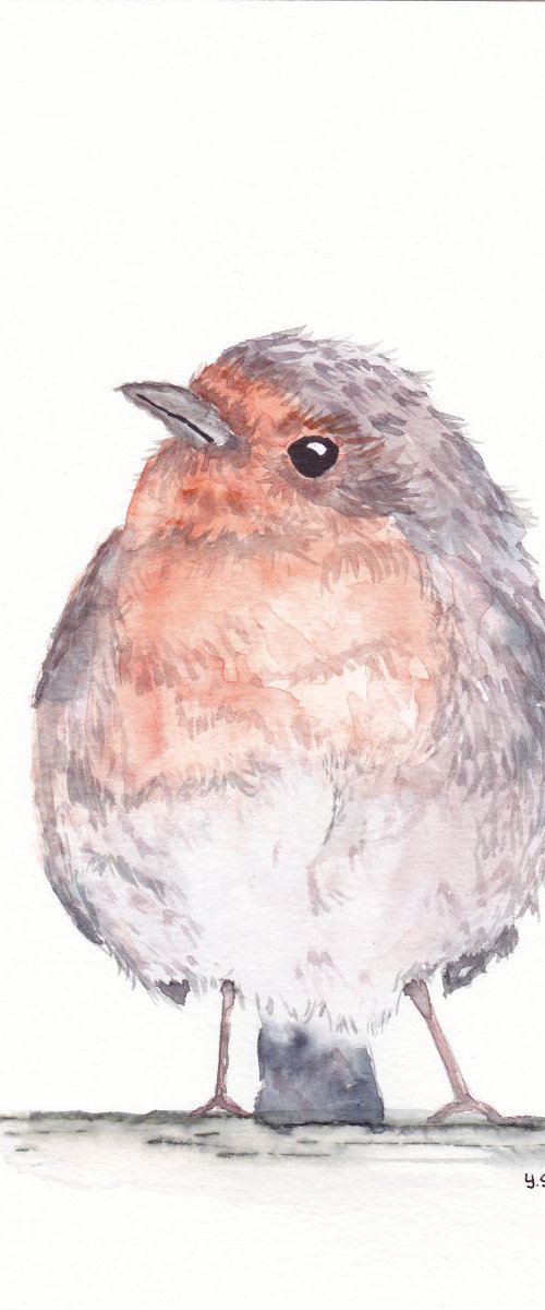 birds portrait by Yulia Schuster