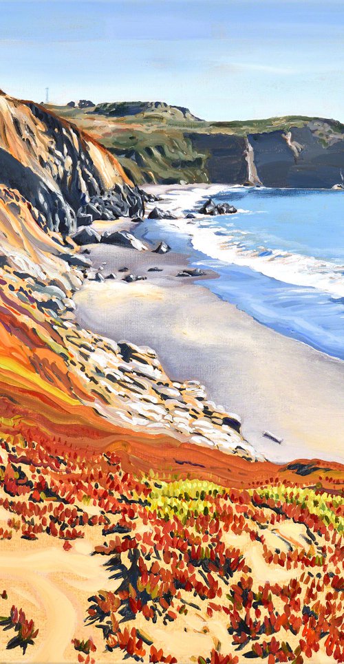 Rodeo Beach 2022 by Alex Nizovsky