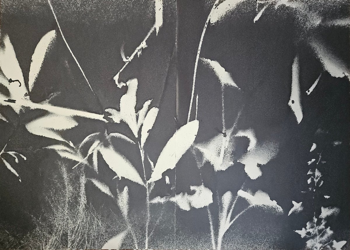 Surrealistic Botanical Acrylic Painting By Stefano Mazzolini, 57 X 41", Rf3132, Original Artwork