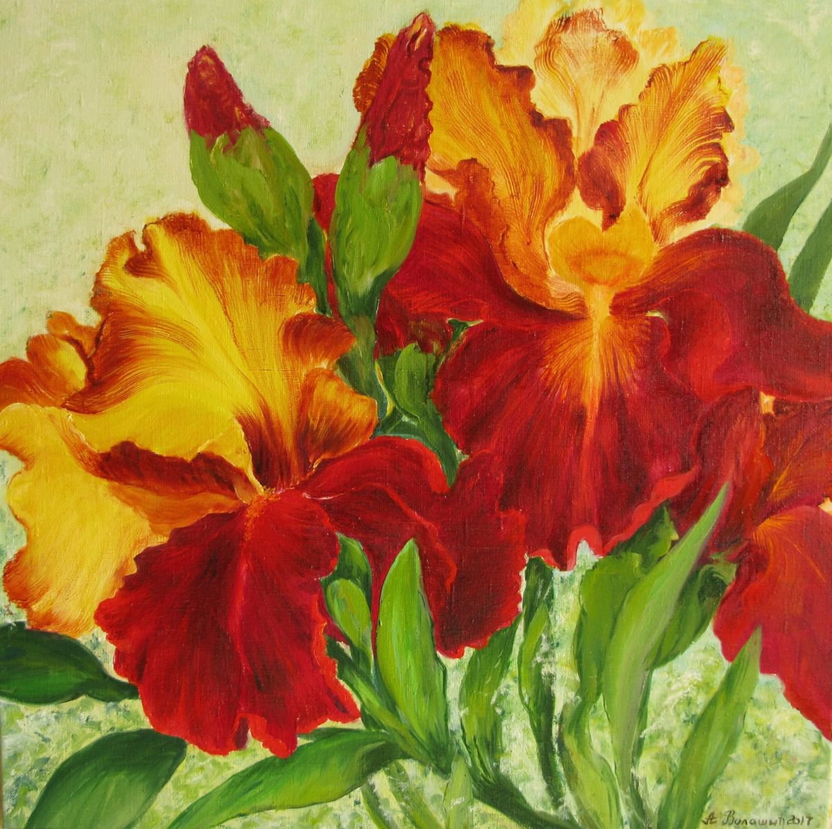 Oil painting flowers - Irises by Anna Voloshyn