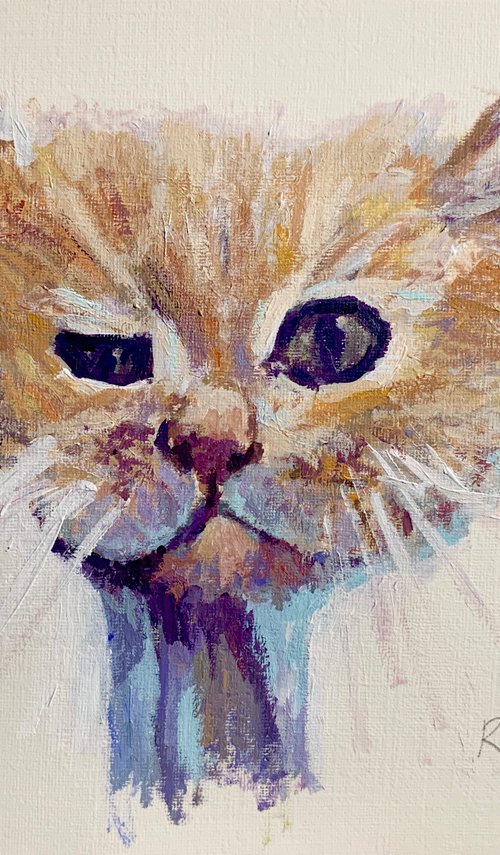 Scraggy Cat by Ryan  Louder