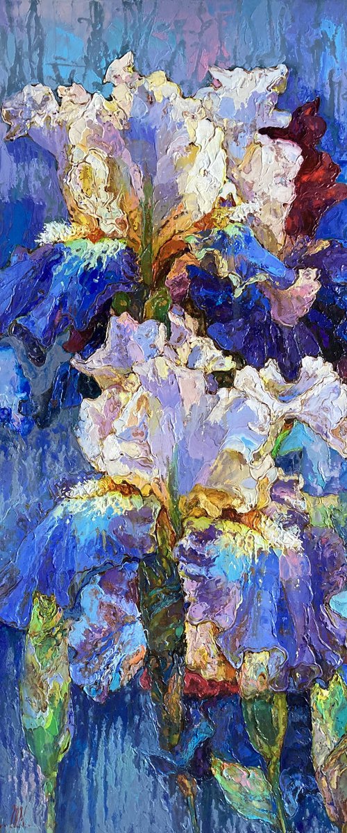 Iris on a blue background. by Andriy Vutyanov
