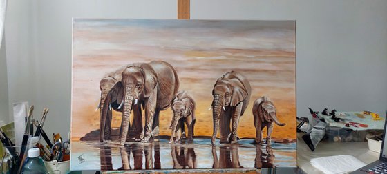 Elephants in the Desert