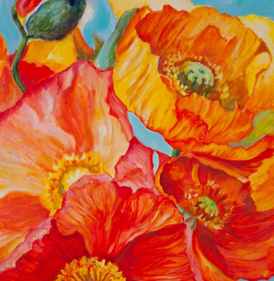 Poppies