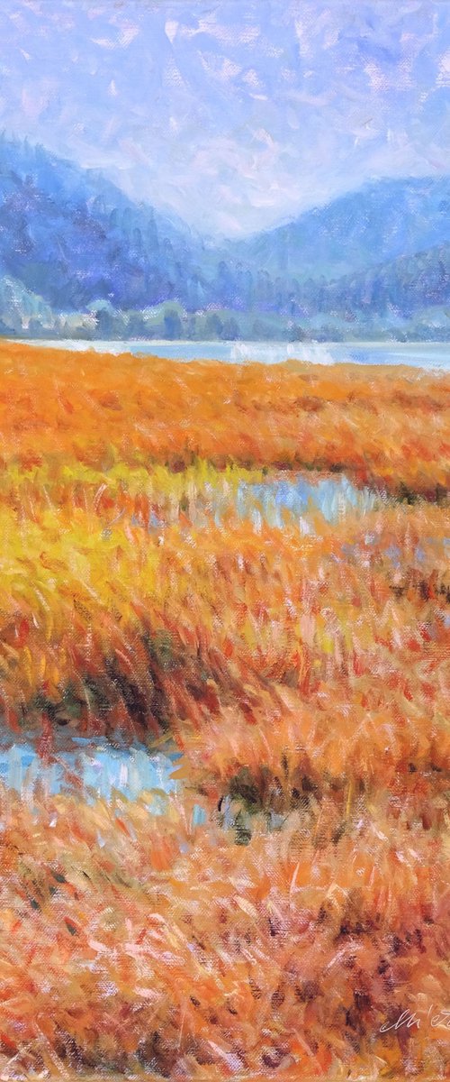 Weitsee 1. (Bavaria) by Richard Mierniczak