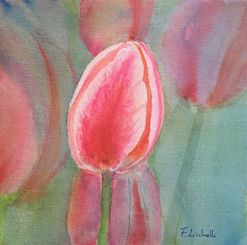 Pink tulip by Francesca Licchelli