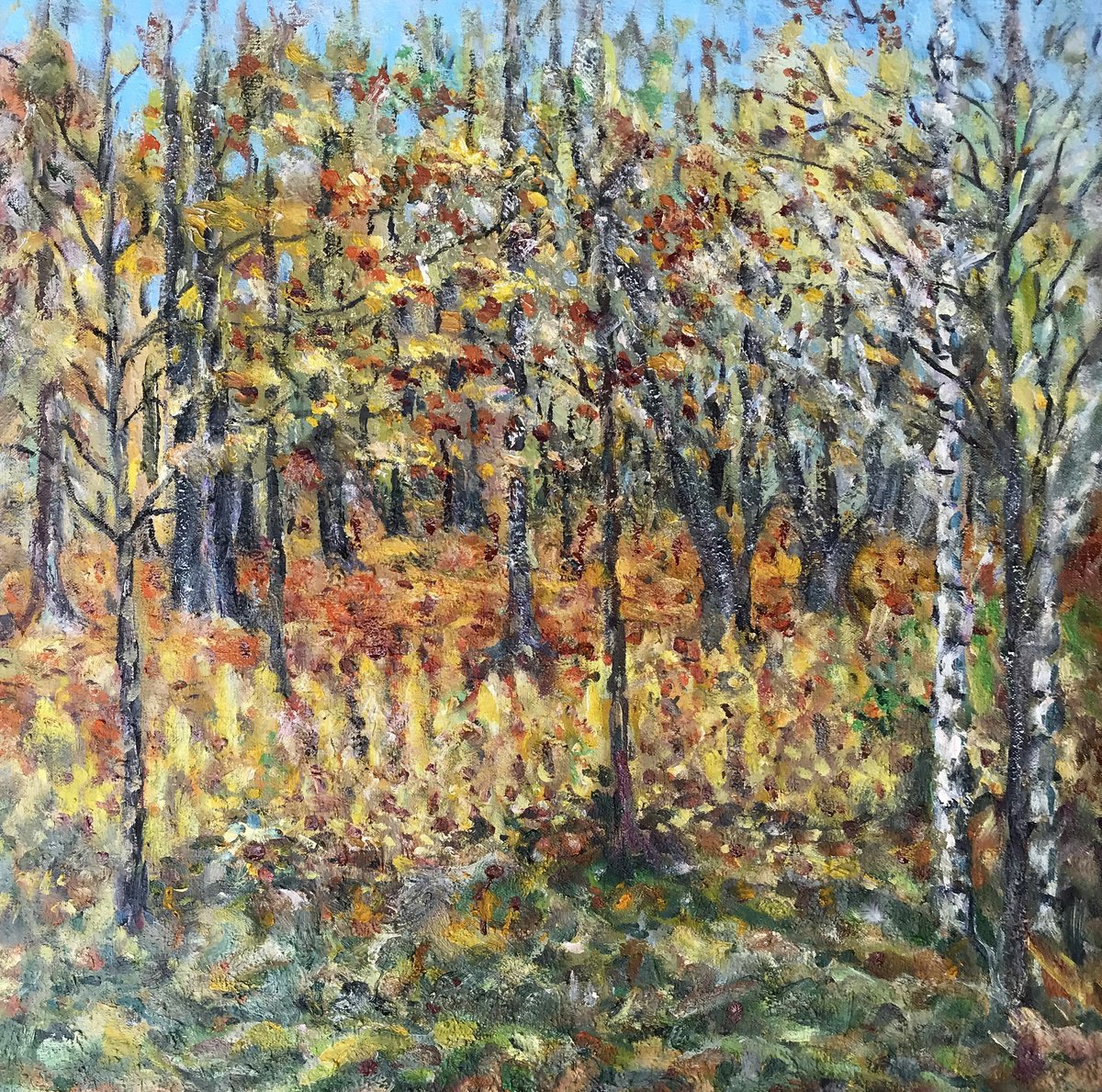 Impressionistic Landscape Oil Painting By Ivan Shapoval, 26 X 27, Autumn Motif, Original Artwork