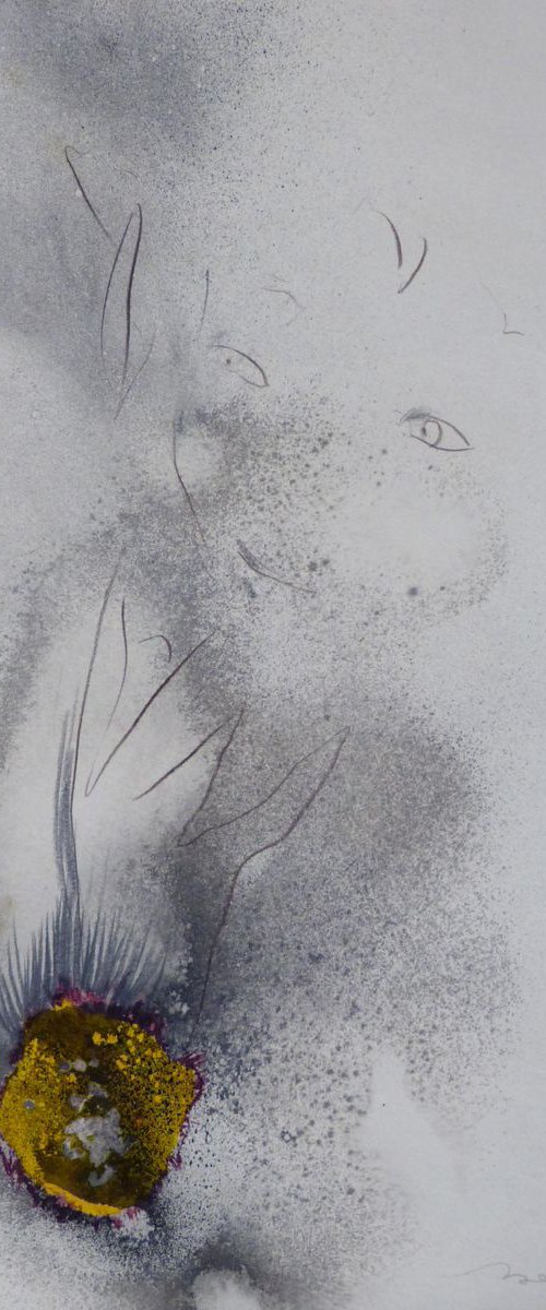 Dream Portrait, 41x29 cm by Frederic Belaubre