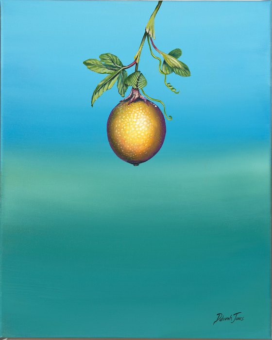 O Maracjua-Passion Fruit Mini2