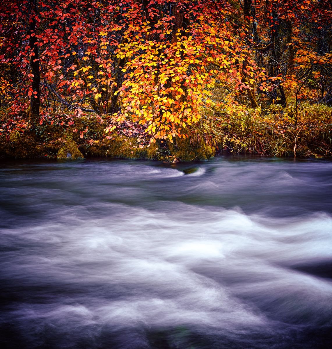 Autumn Waters by Stuart McMillan
