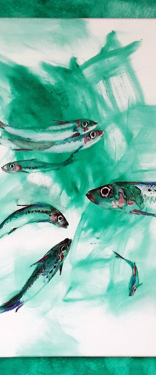Scilly Sardines by Chris Walker