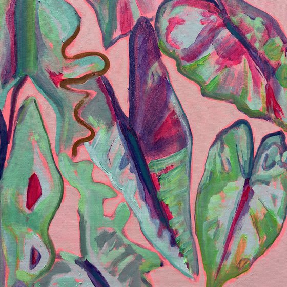 Alocasia Study III