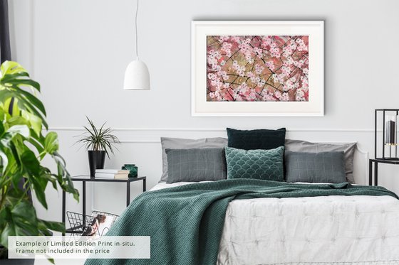 One Day In Spring - Original & Limited Edition Prints Available