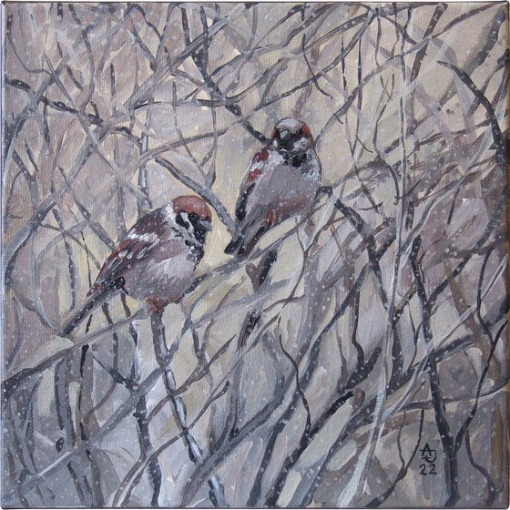 Sparrows