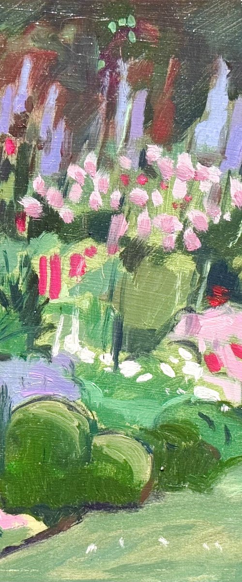 Herbaceous border by Natalie Bird