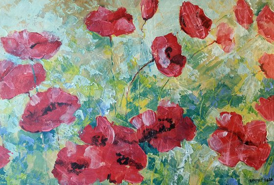 Poppies 10